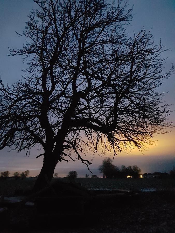 Roskilde B&B Gadstrup Exteriér fotografie